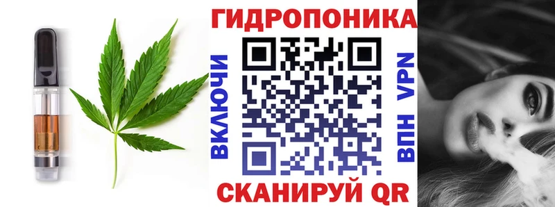 Canna-Cookies марихуана  блэк спрут tor  Дубна 