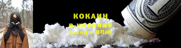 прущие грибы Алексеевка