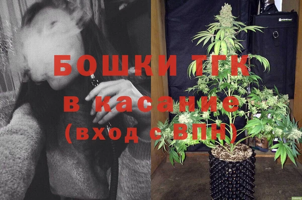 прущие грибы Алексеевка