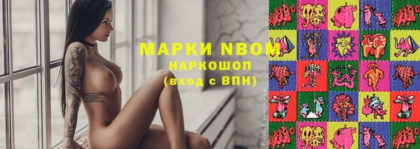 прущие грибы Алексеевка