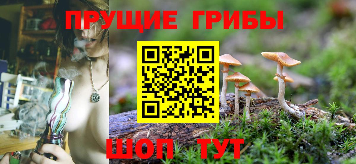 Дубна  Галлюциногенные грибы GOLDEN TEACHER  сколько стоит  Вход с VPN 