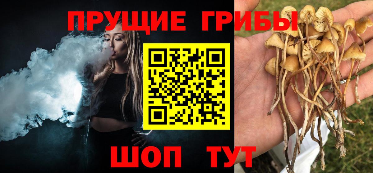 Галлюциногенные грибы прущие грибы Дубна