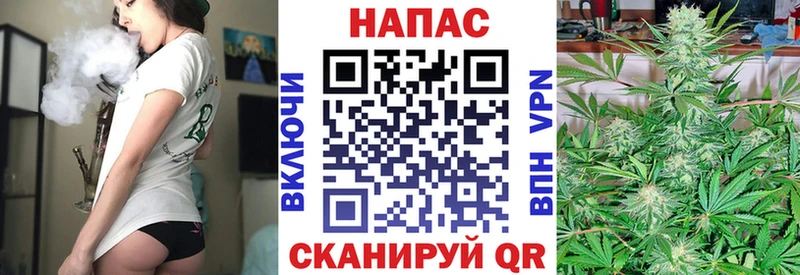 Шишки марихуана THC 21%  как найти наркотики  Дубна 